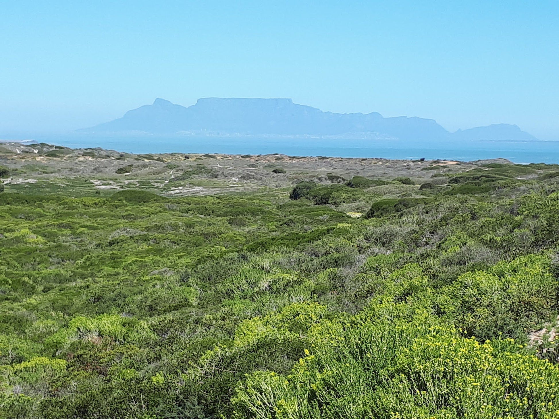  Koeberg Nature Reserve