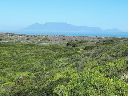  Koeberg Nature Reserve