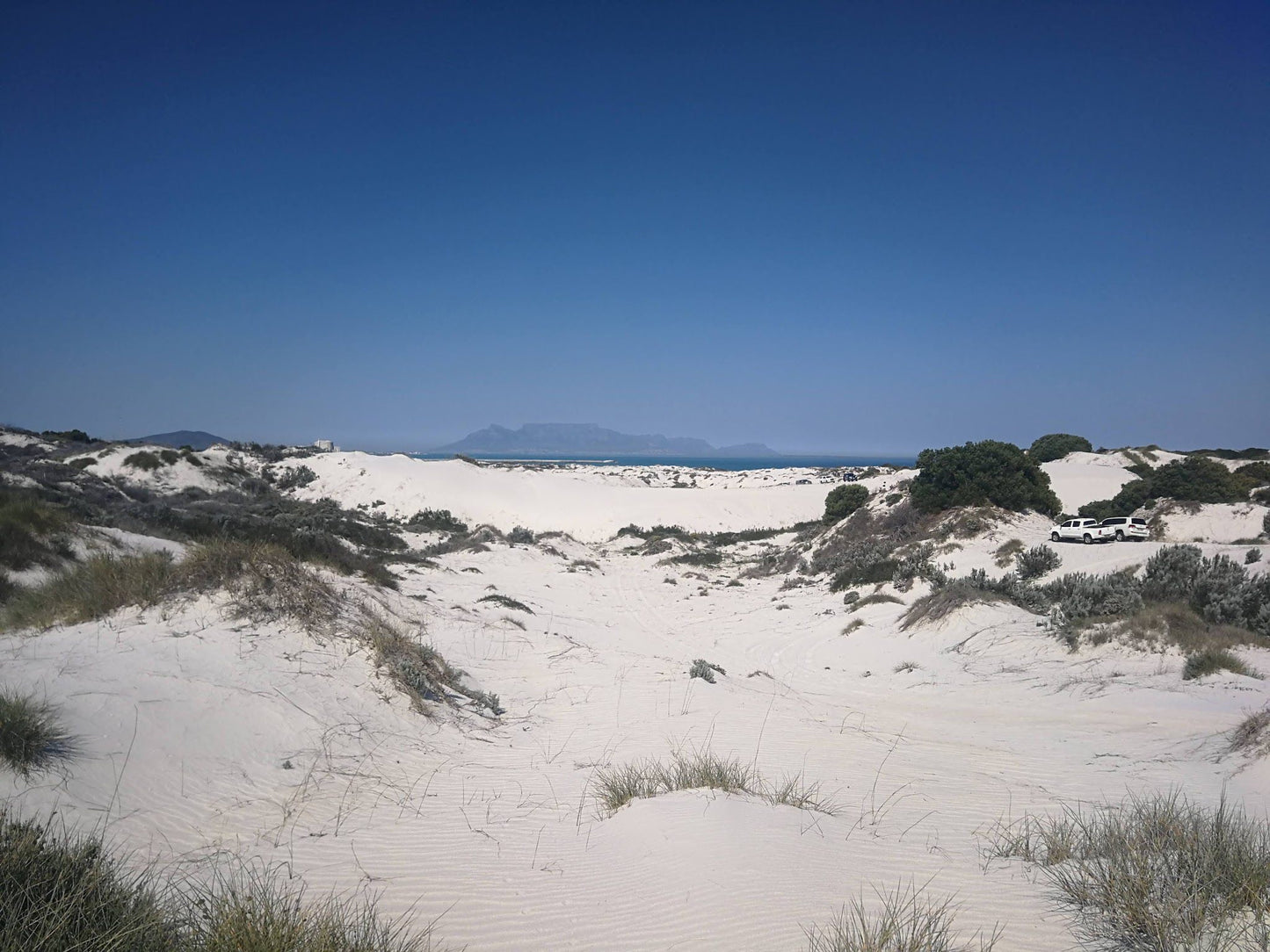  Koeberg Nature Reserve