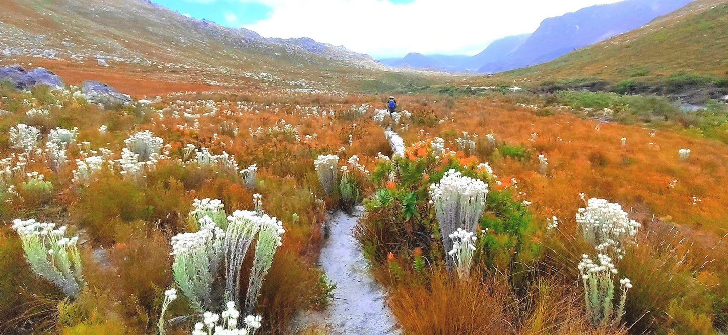  Kogelberg Nature Reserve