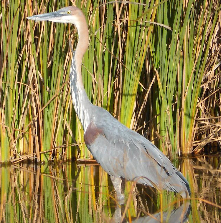  Korsman Conservancy