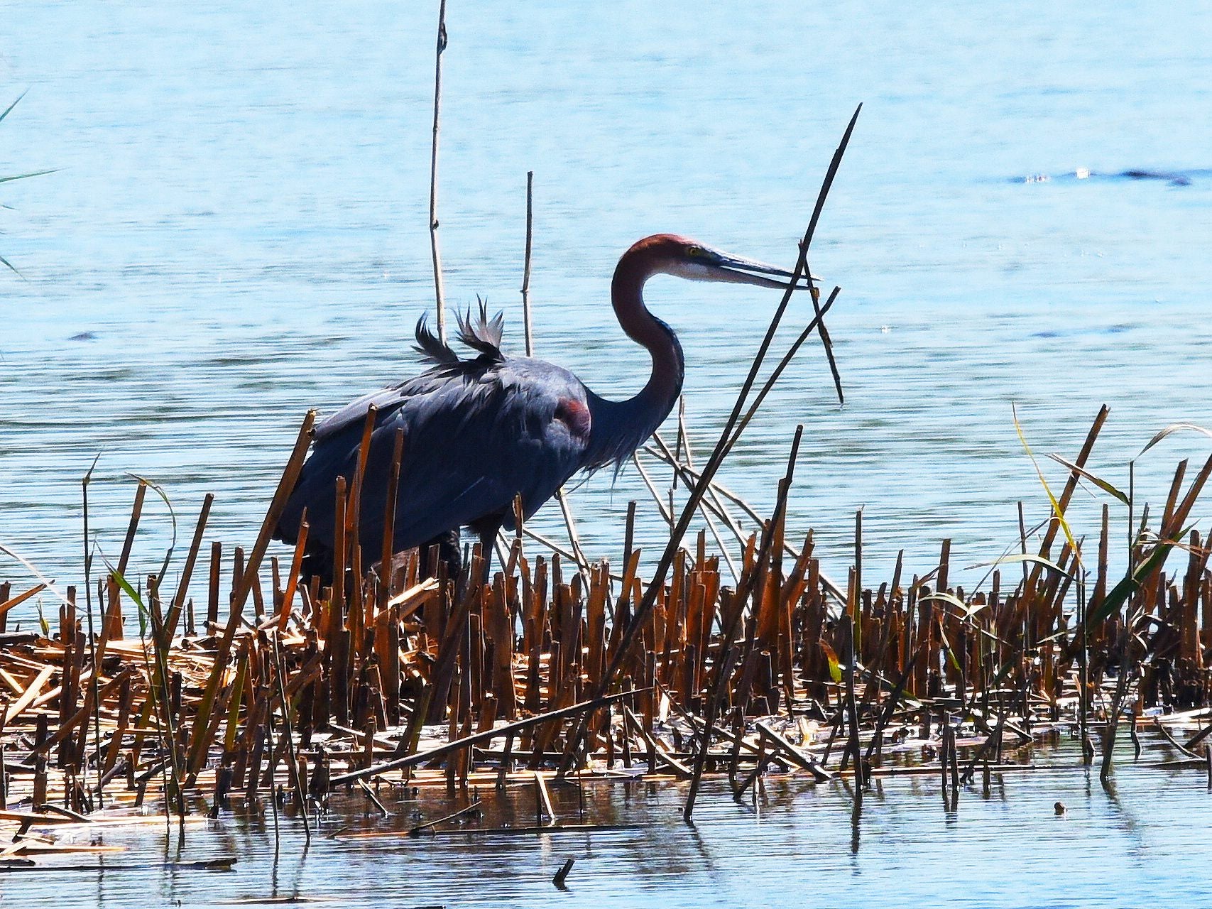  Korsman Conservancy