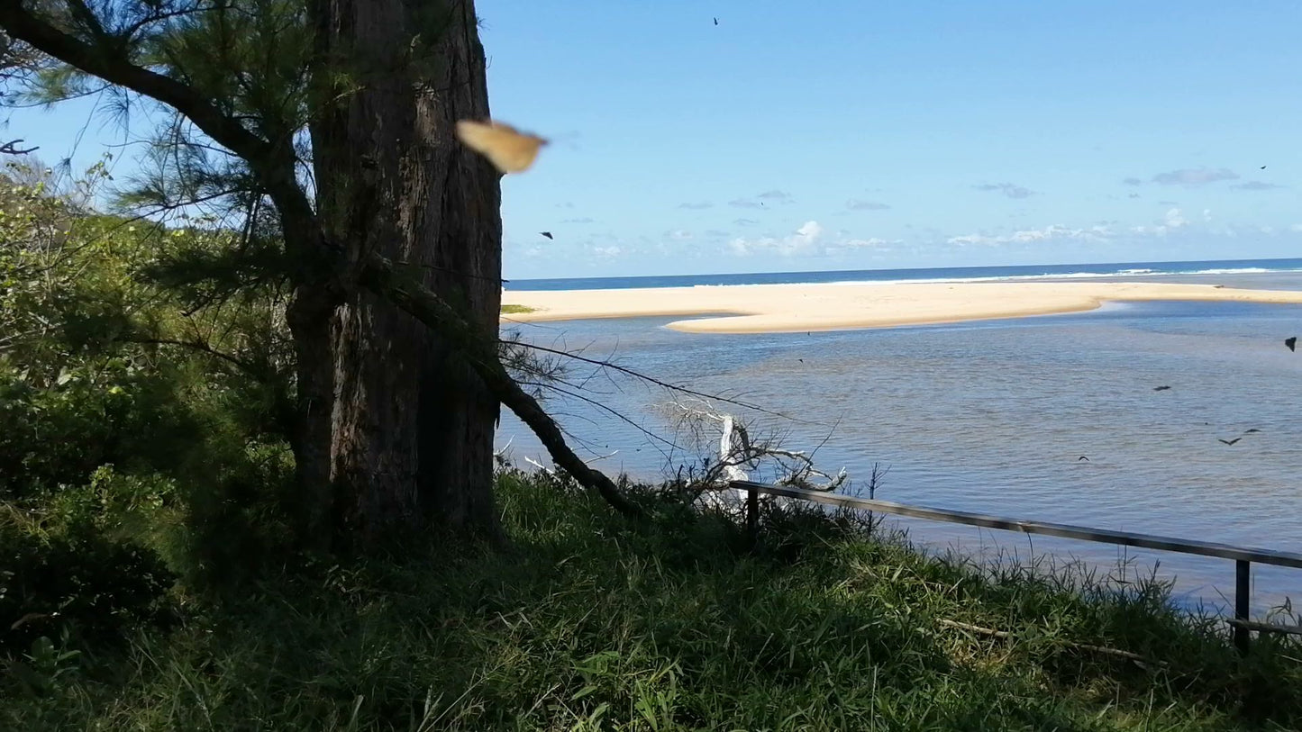  Kosi Bay Mouth