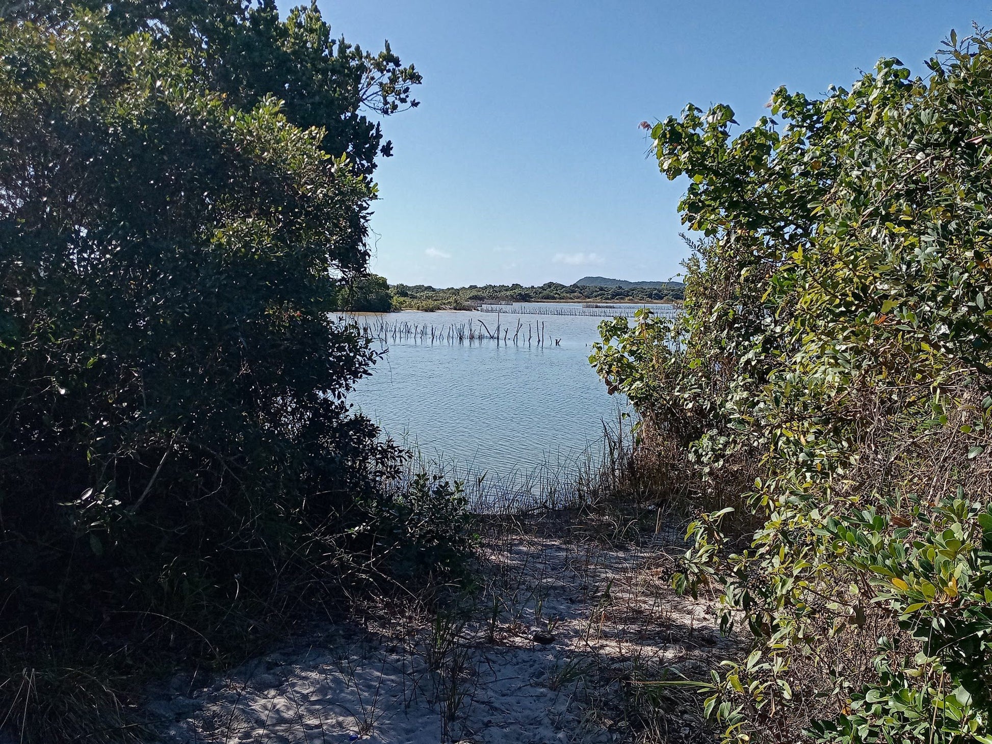  Kosi Bay Mouth