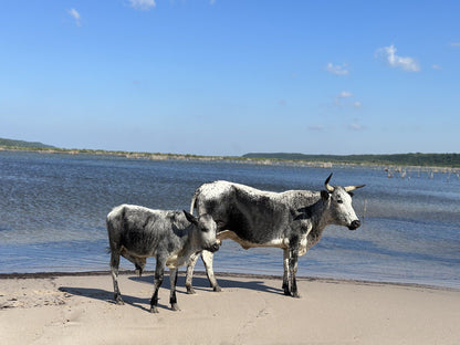  Kosi Bay Mouth