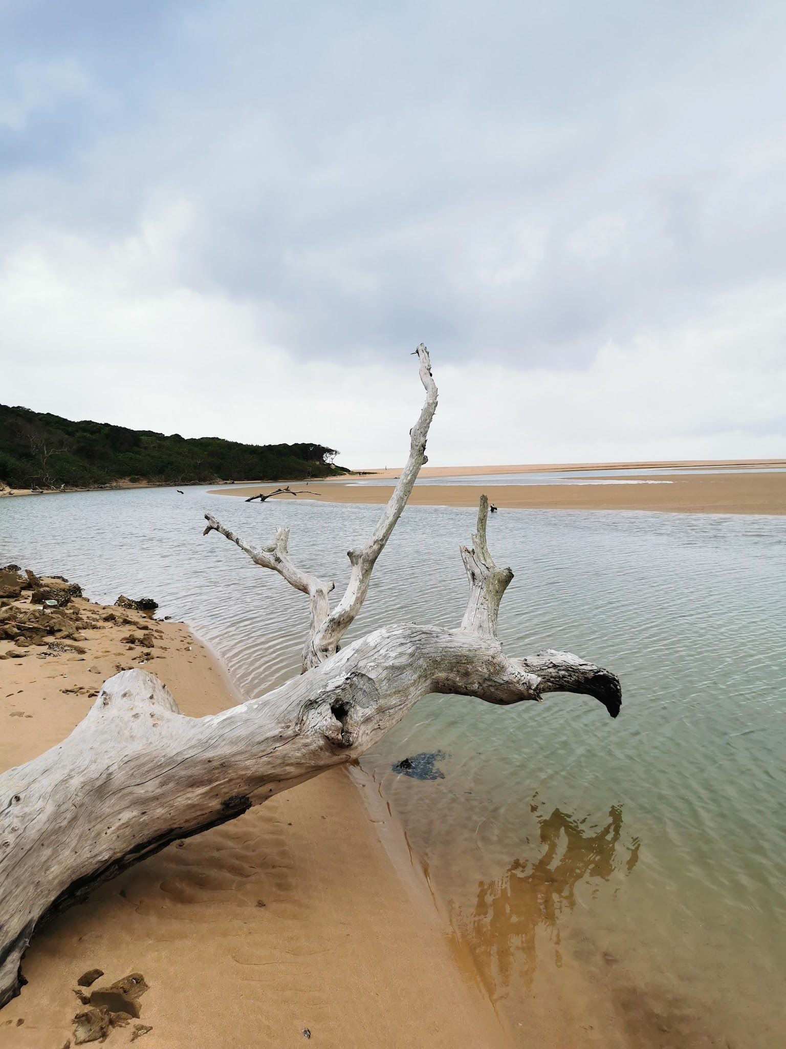  Kosi Bay Mouth