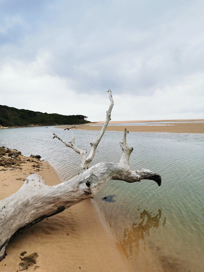  Kosi Bay Mouth