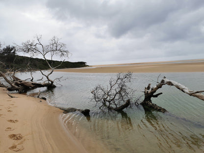  Kosi Bay Mouth