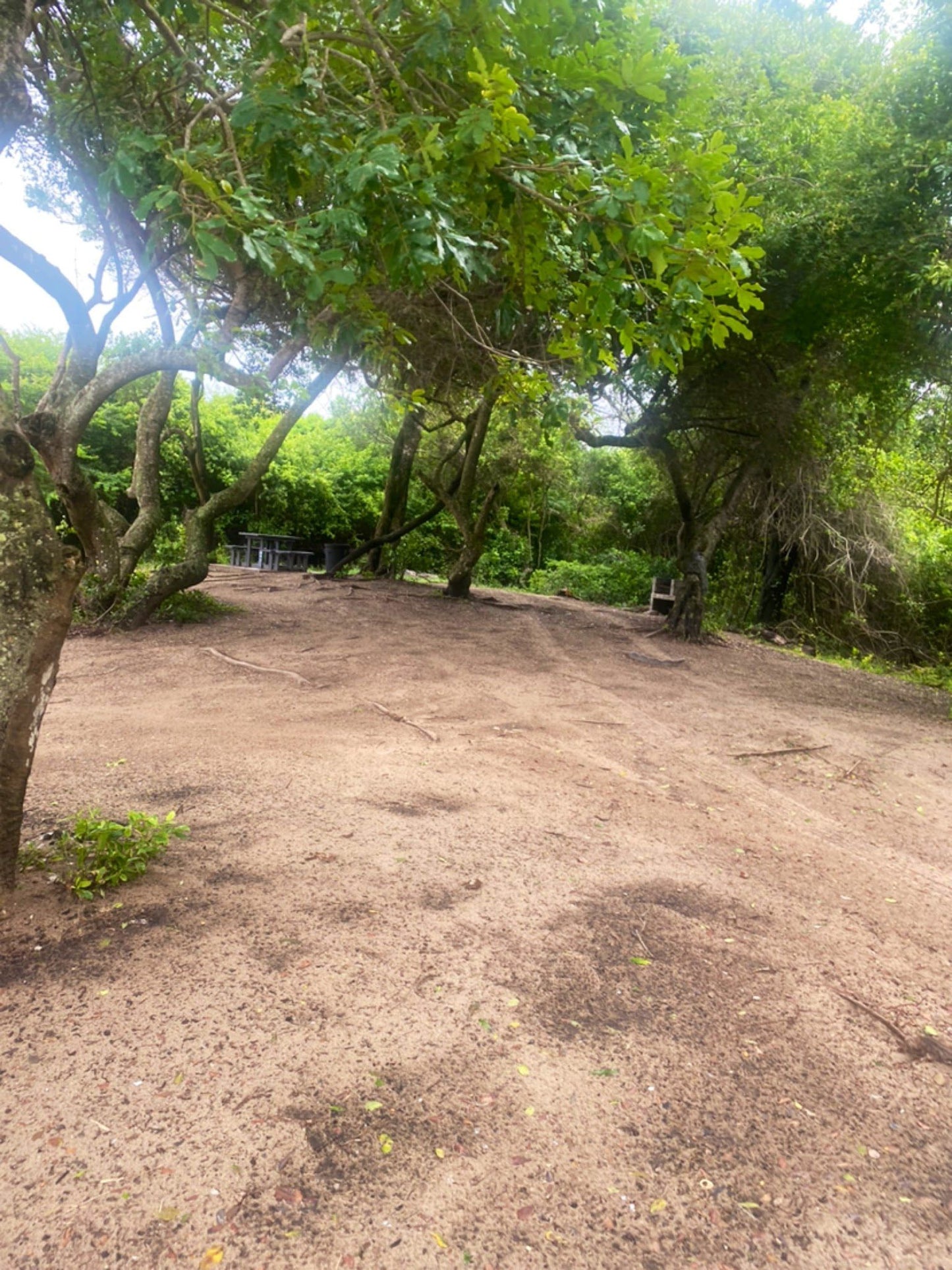  Kosi Bay Mouth