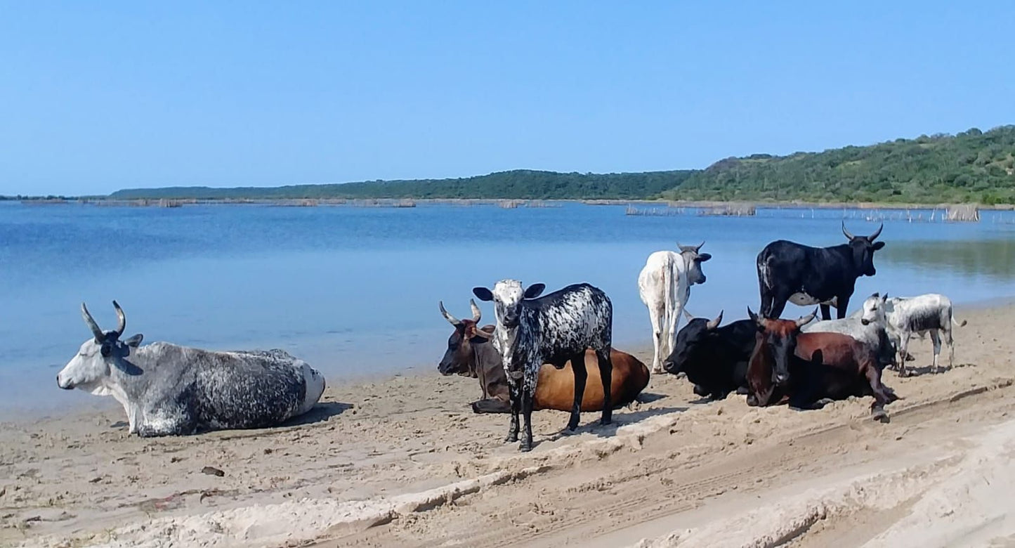  Kosi Bay Mouth