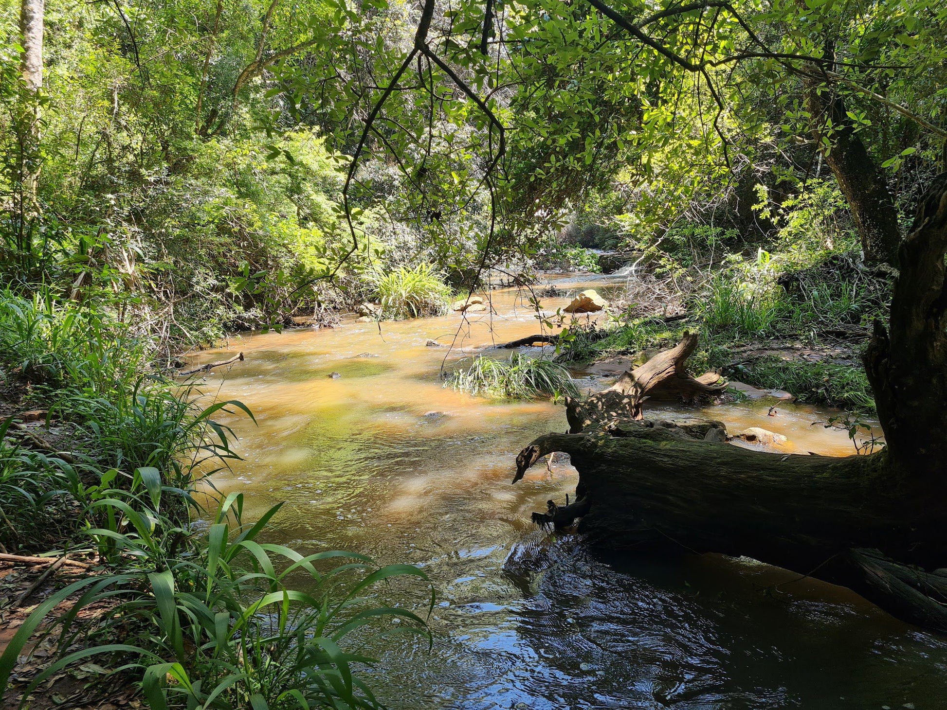  Krantzkloof Nature Reserve