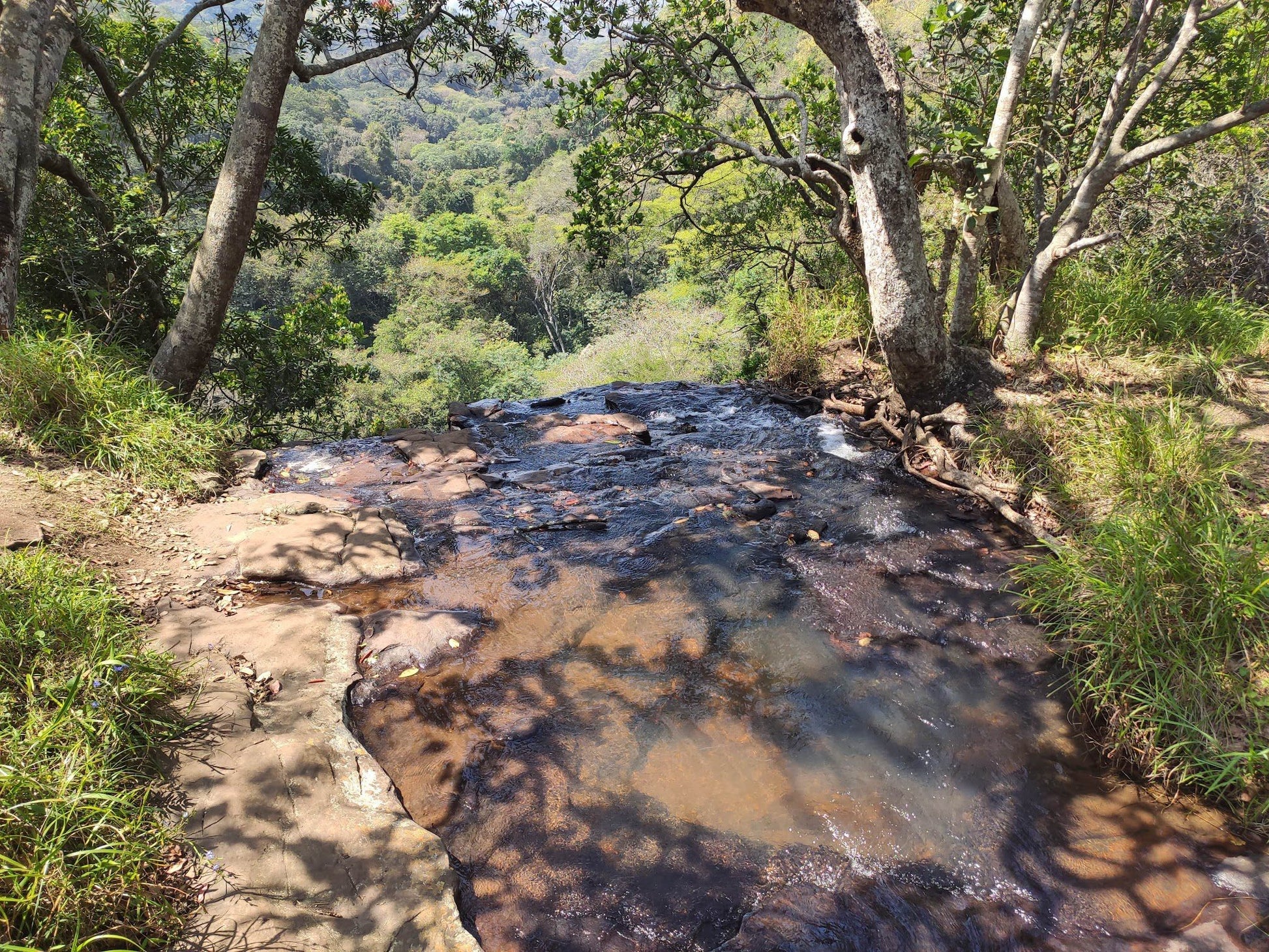  Krantzkloof Nature Reserve