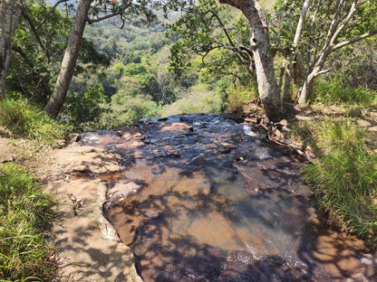  Krantzkloof Nature Reserve