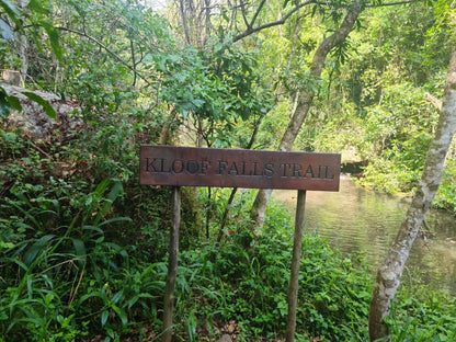  Krantzkloof Nature Reserve