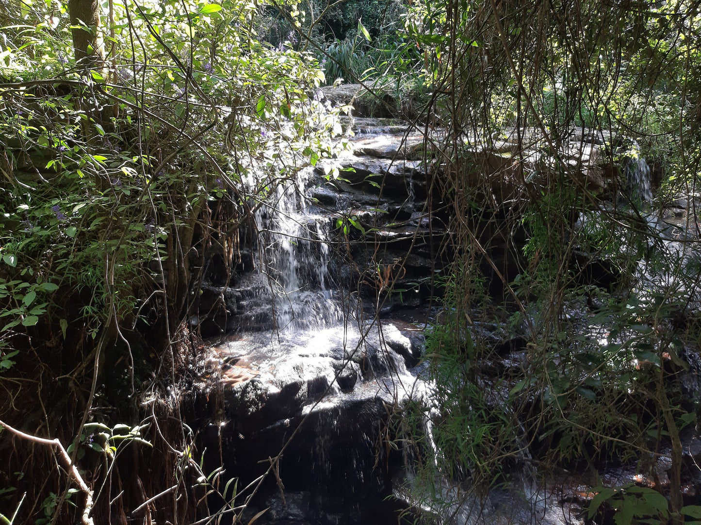  Krantzkloof Nature Reserve