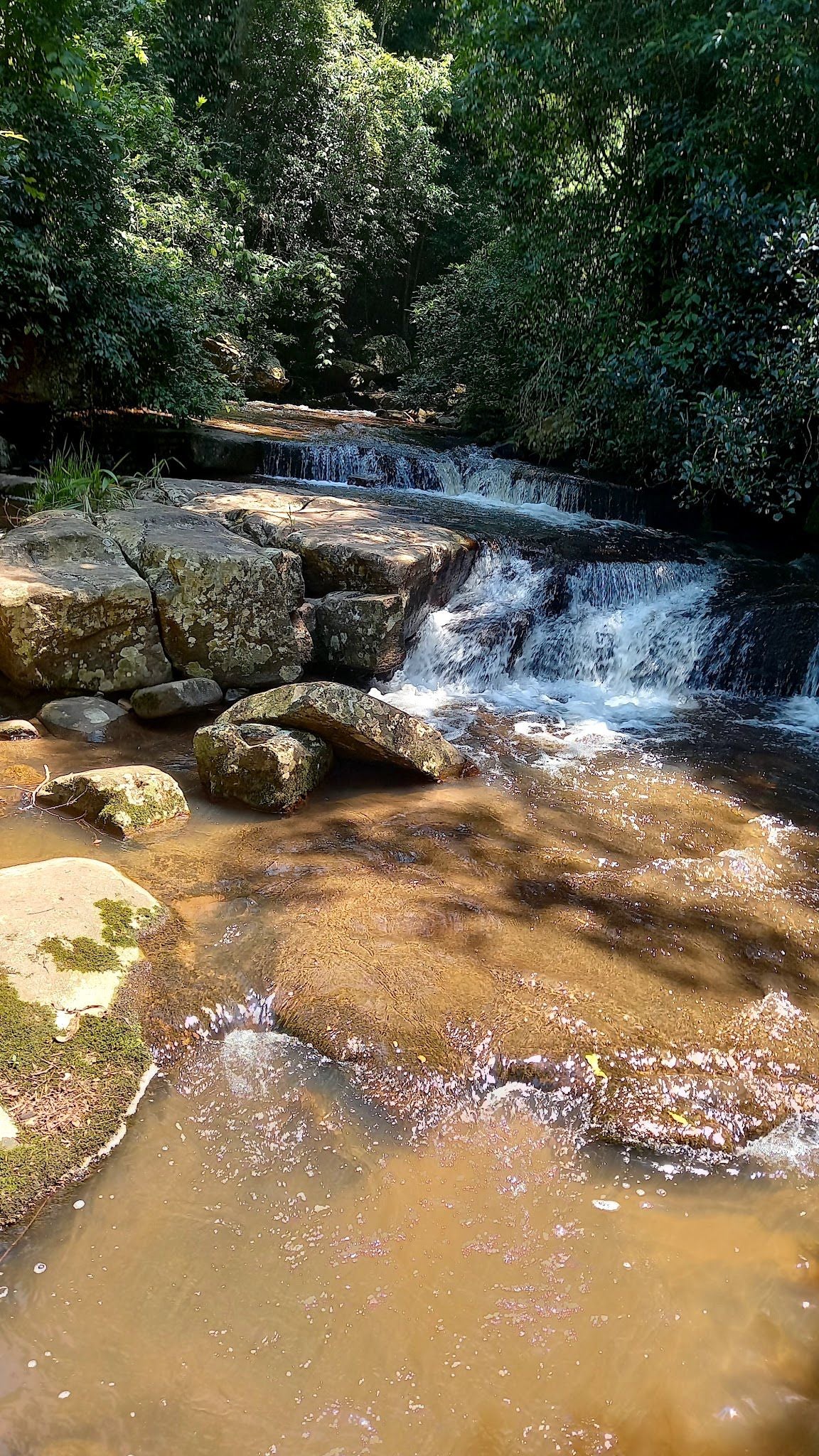  Krantzkloof Nature Reserve