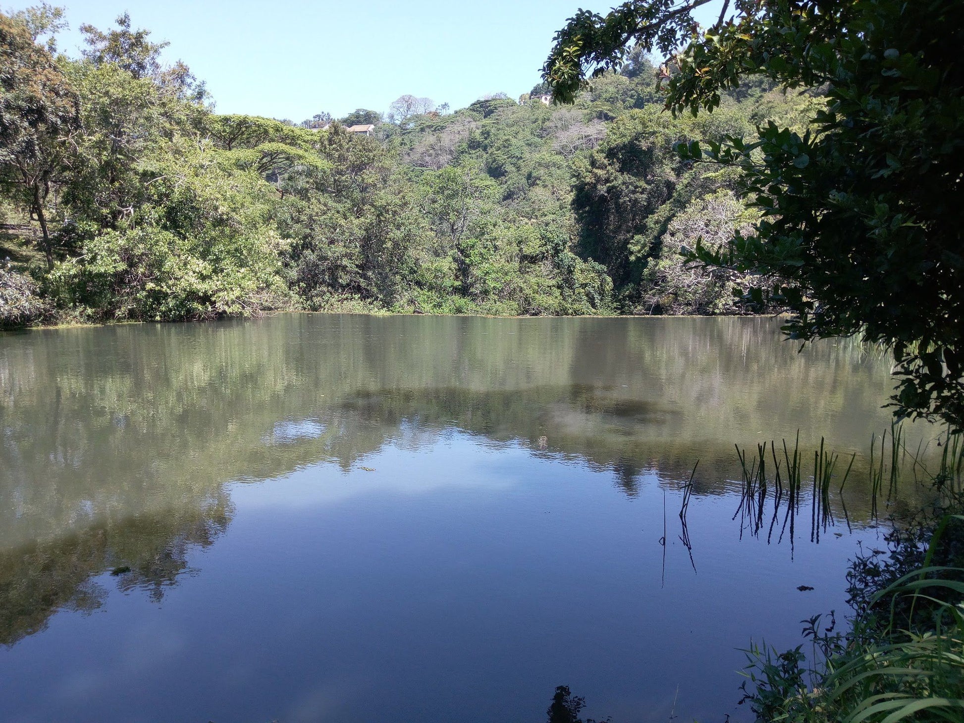  Krantzkloof Nature Reserve