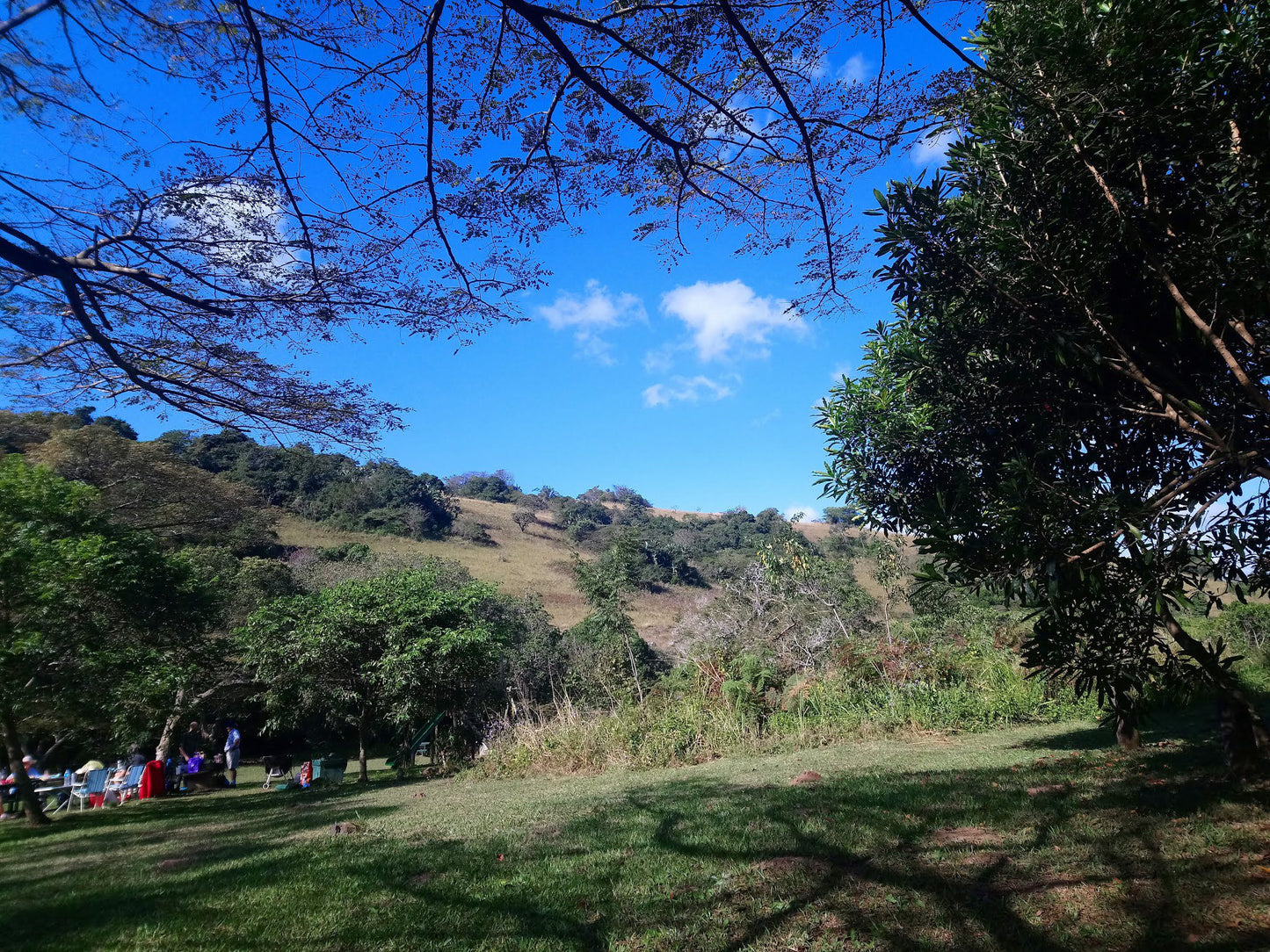  Krantzkloof Nature Reserve