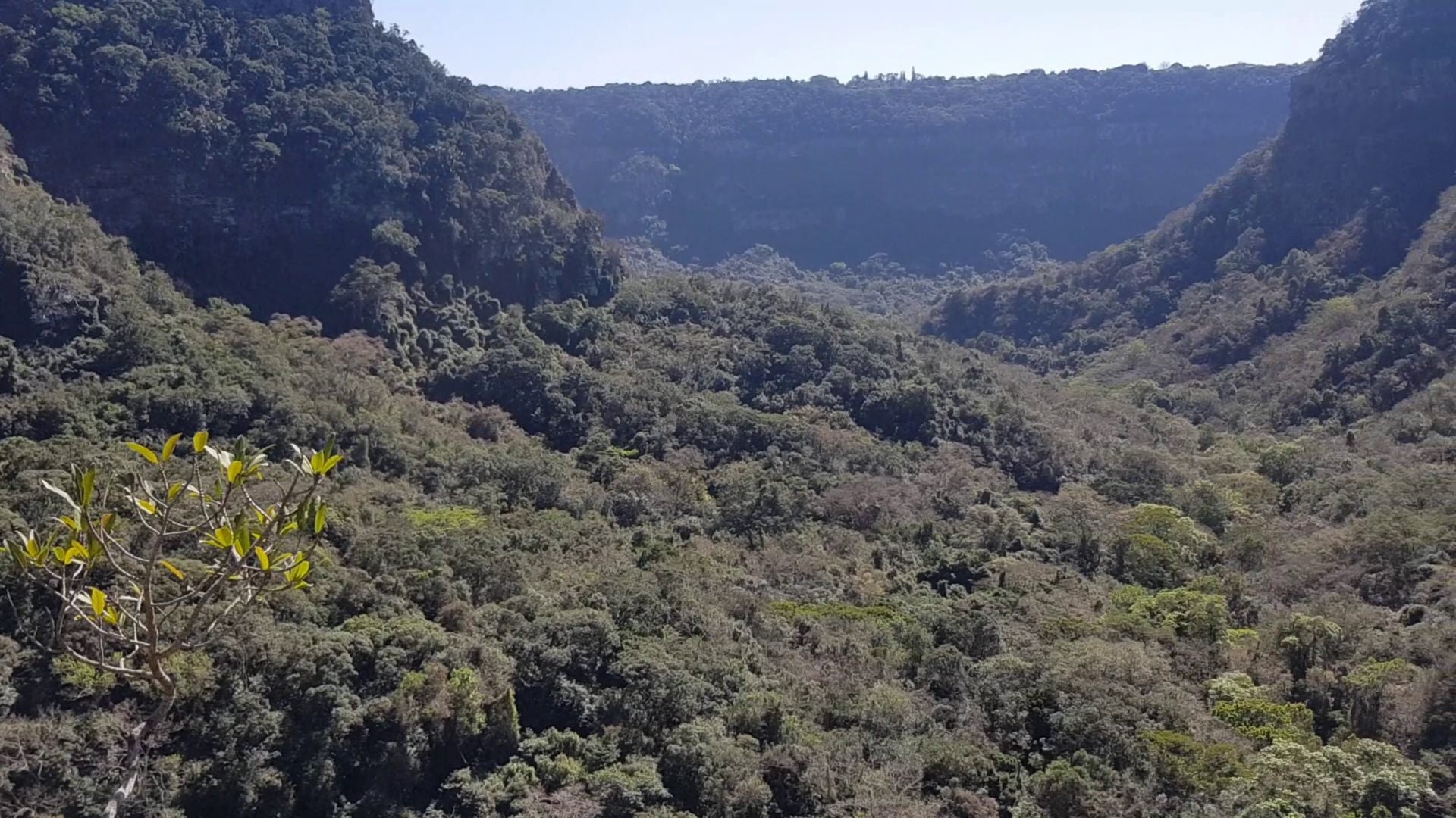  Krantzkloof Nature Reserve