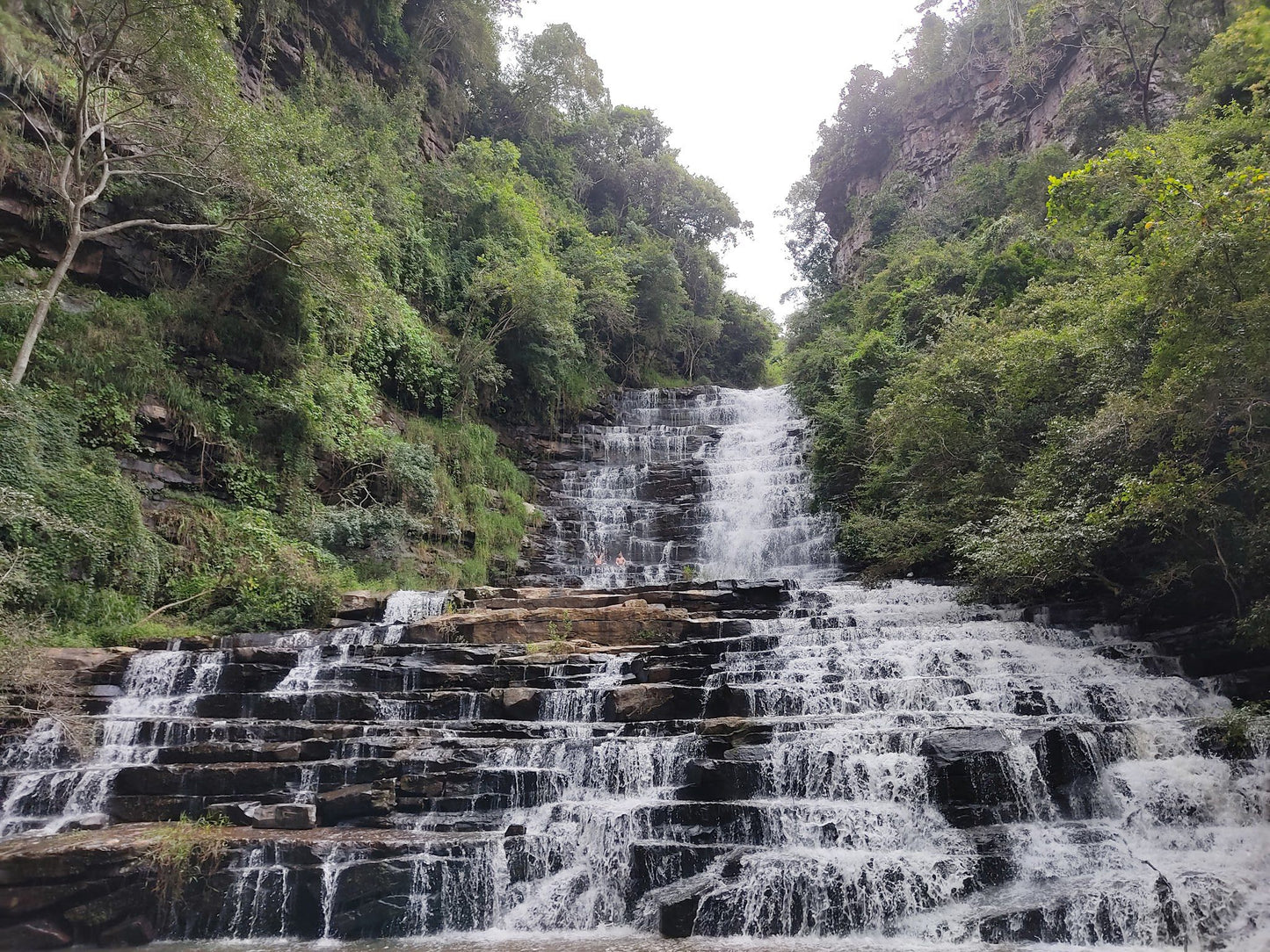  Krantzkloof Nature Reserve