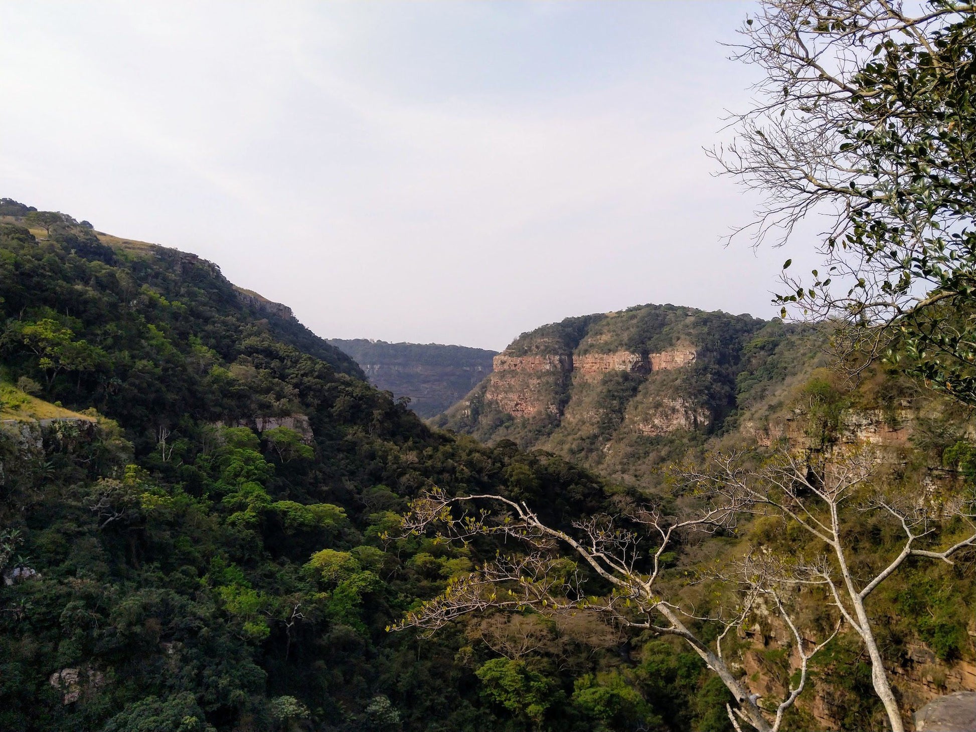  Krantzkloof Nature Reserve