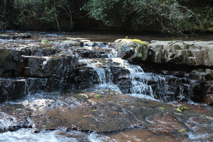  Krantzkloof Nature Reserve