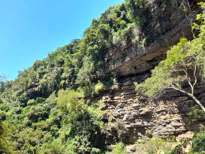  Krantzkloof Nature Reserve