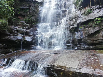  Krantzkloof Nature Reserve