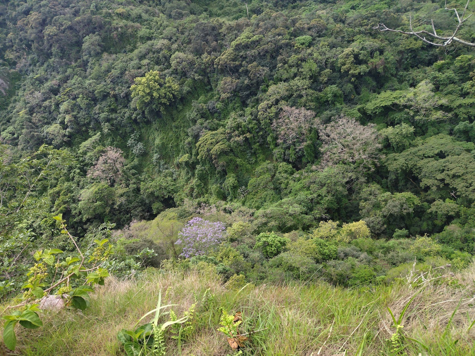  Krantzkloof Nature Reserve