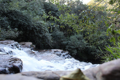  Krantzkloof Nature Reserve