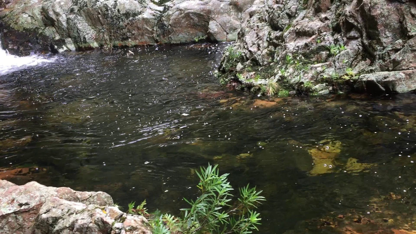 Kromrivier and Elandsrivier Hiking Trails Start