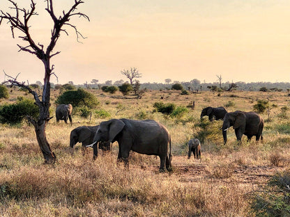  Kruger National Park