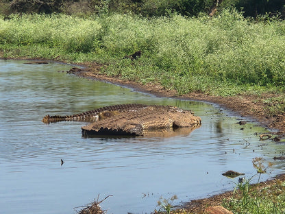  Kruger National Park