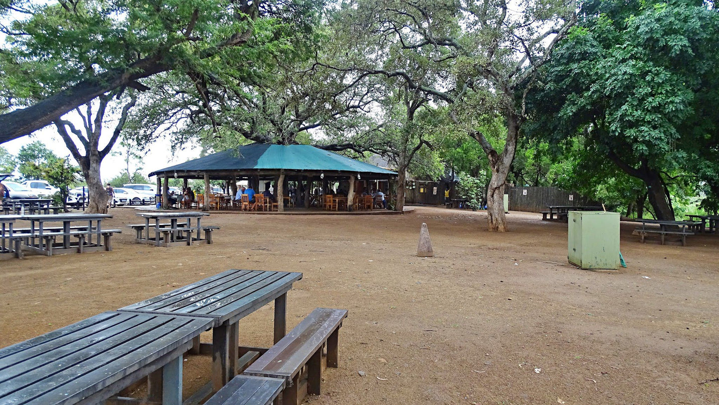  Kruger National Park