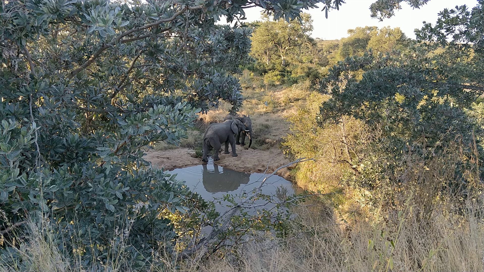  Kruger National Park