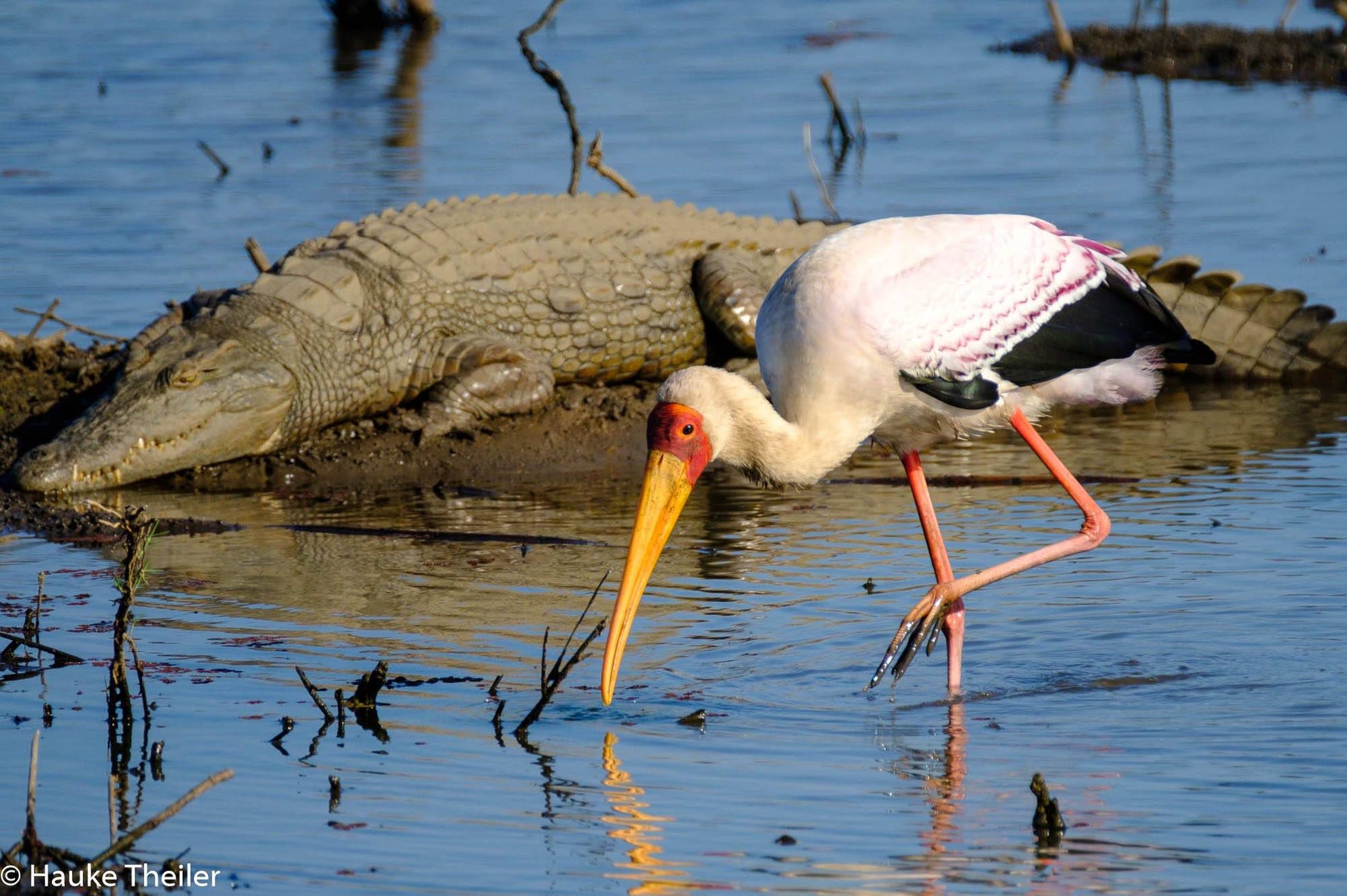  Kruger National Park