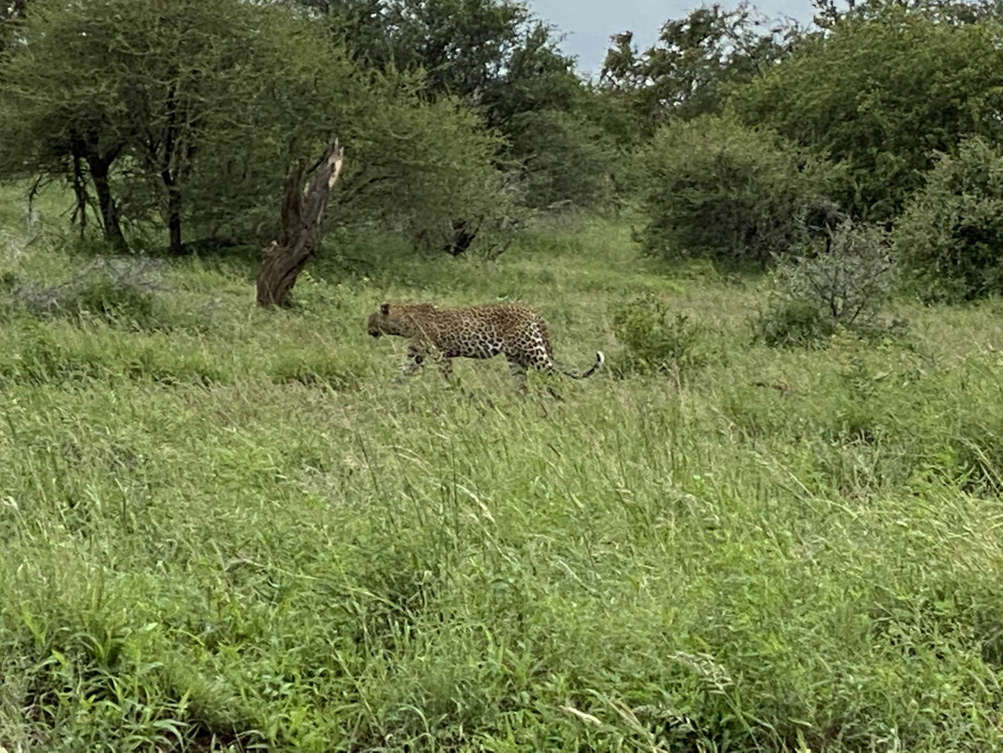  Kruger National Park