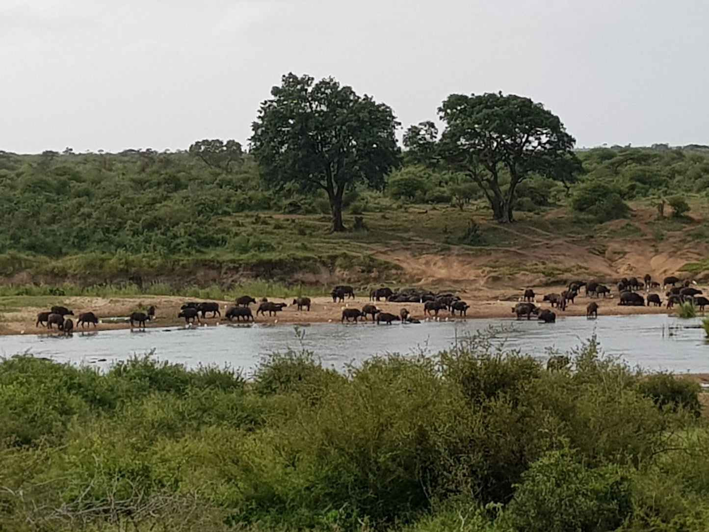  Kruger National Park