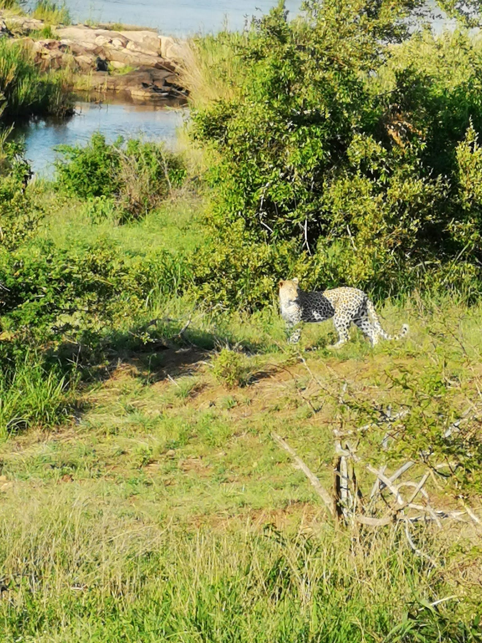  Kruger National Park