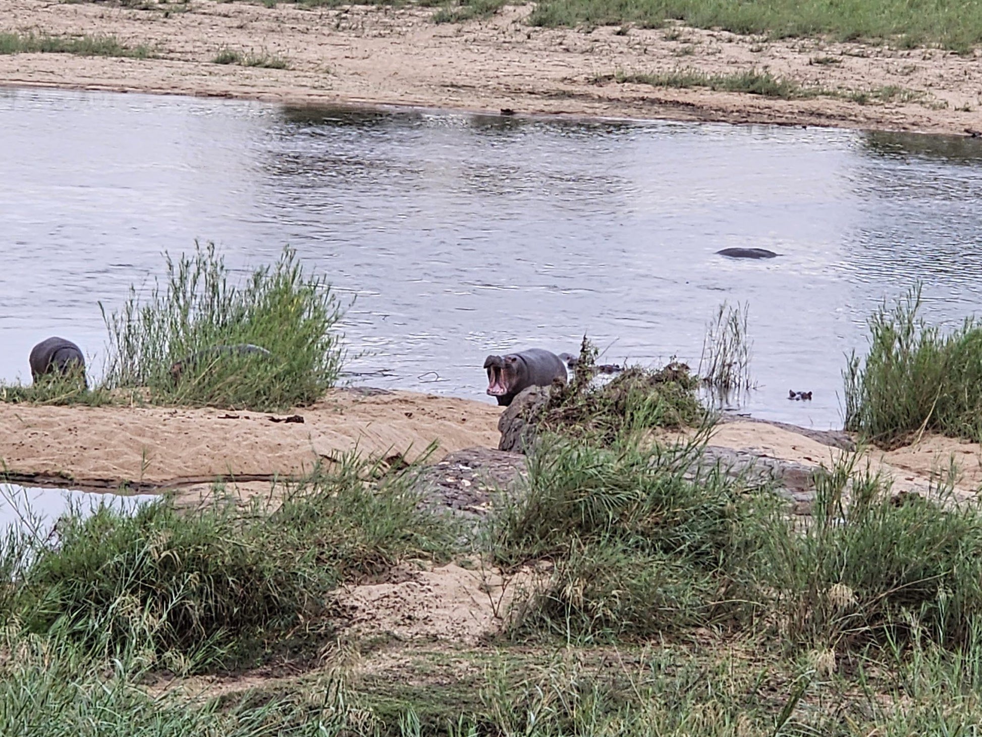  Kruger National Park