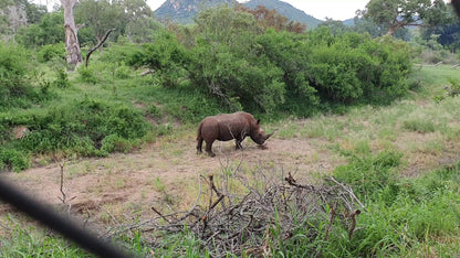  Kruger National Park