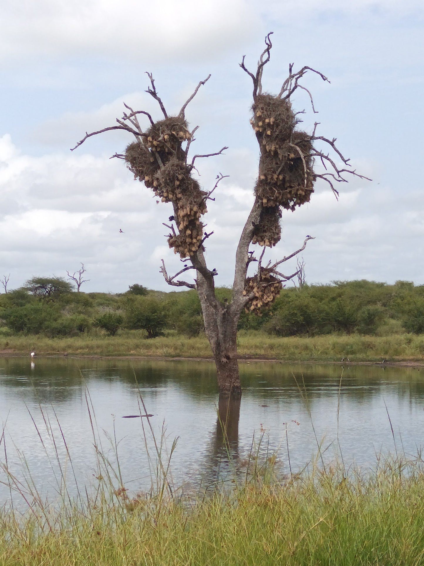  Kruger National Park