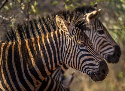  Kudu Private Nature Reserve