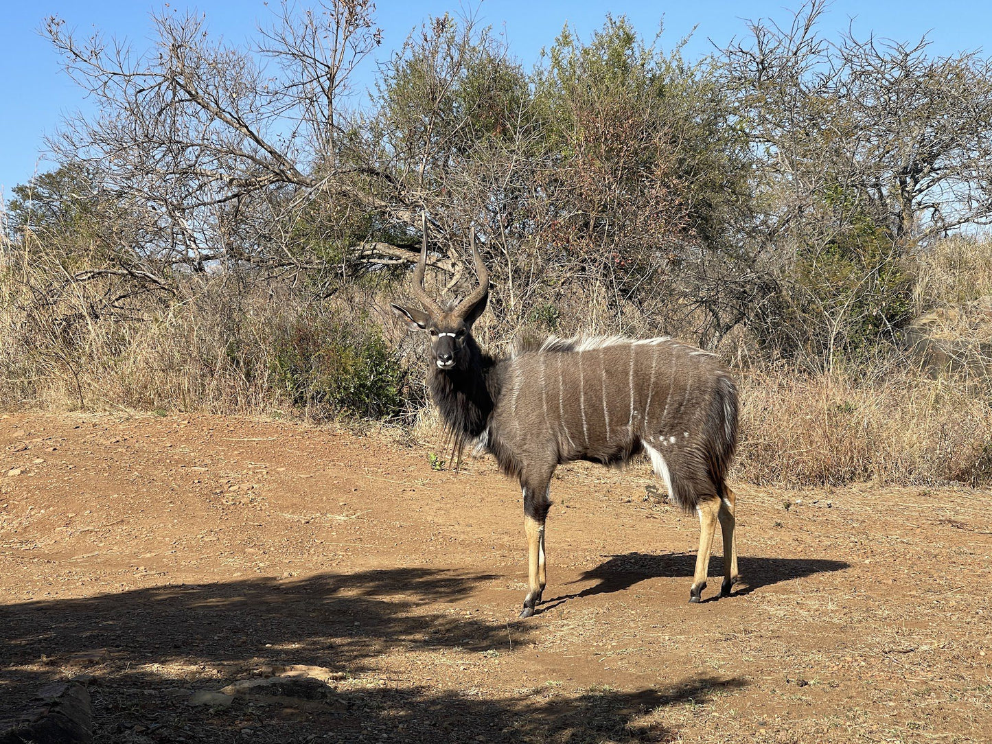  Kudu Private Nature Reserve