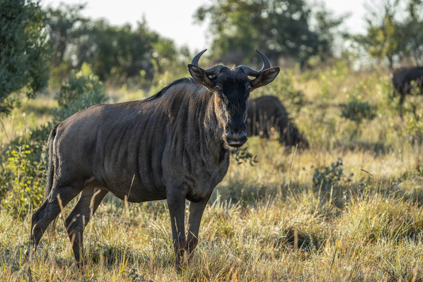  Kudu Private Nature Reserve