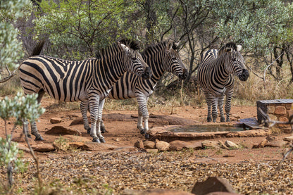  Kudu Private Nature Reserve