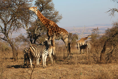  Kudu Private Nature Reserve