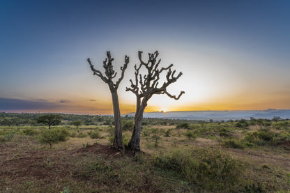  Kudu Private Nature Reserve