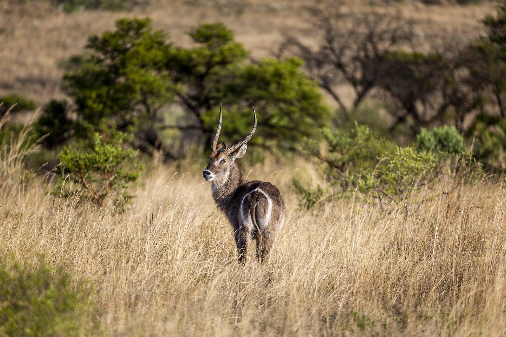  Kudu Private Nature Reserve