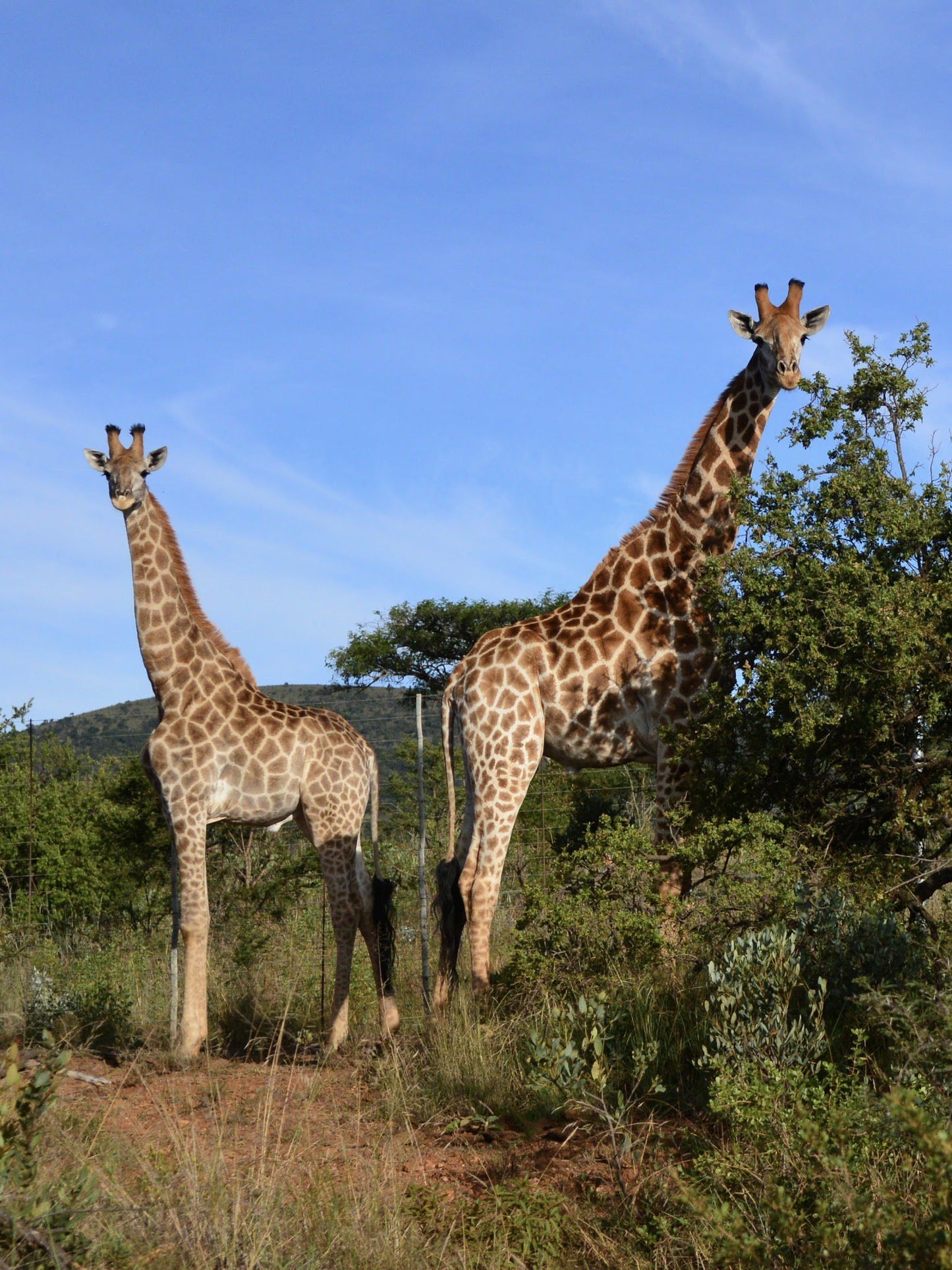  Kudu Private Nature Reserve